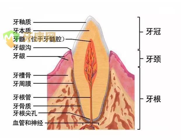 牙周炎