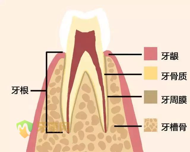 牙周病