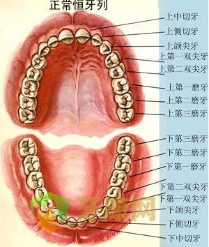 虎牙